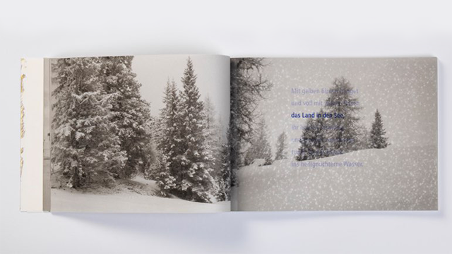 Verclas, Till: Winterbuch
